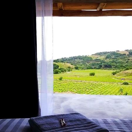 Bed and Breakfast Les Cabanons De Meme Jeannette Port Vendres Exteriér fotografie