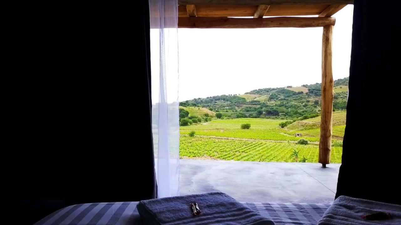 Bed and Breakfast Les Cabanons De Meme Jeannette Port Vendres Exteriér fotografie